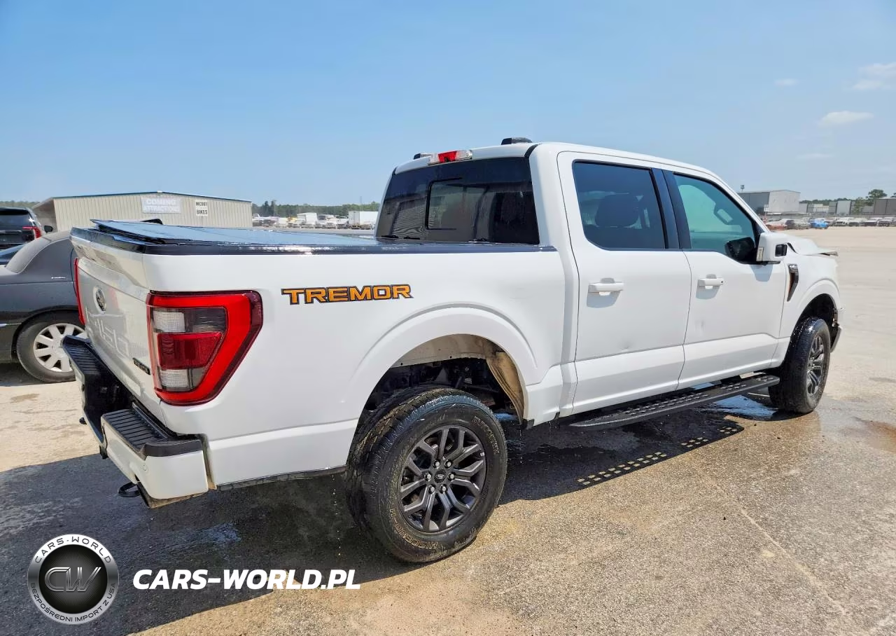 2022 Ford F150 Supercrew VIN:1FTEW1E80NFB31331 - 3