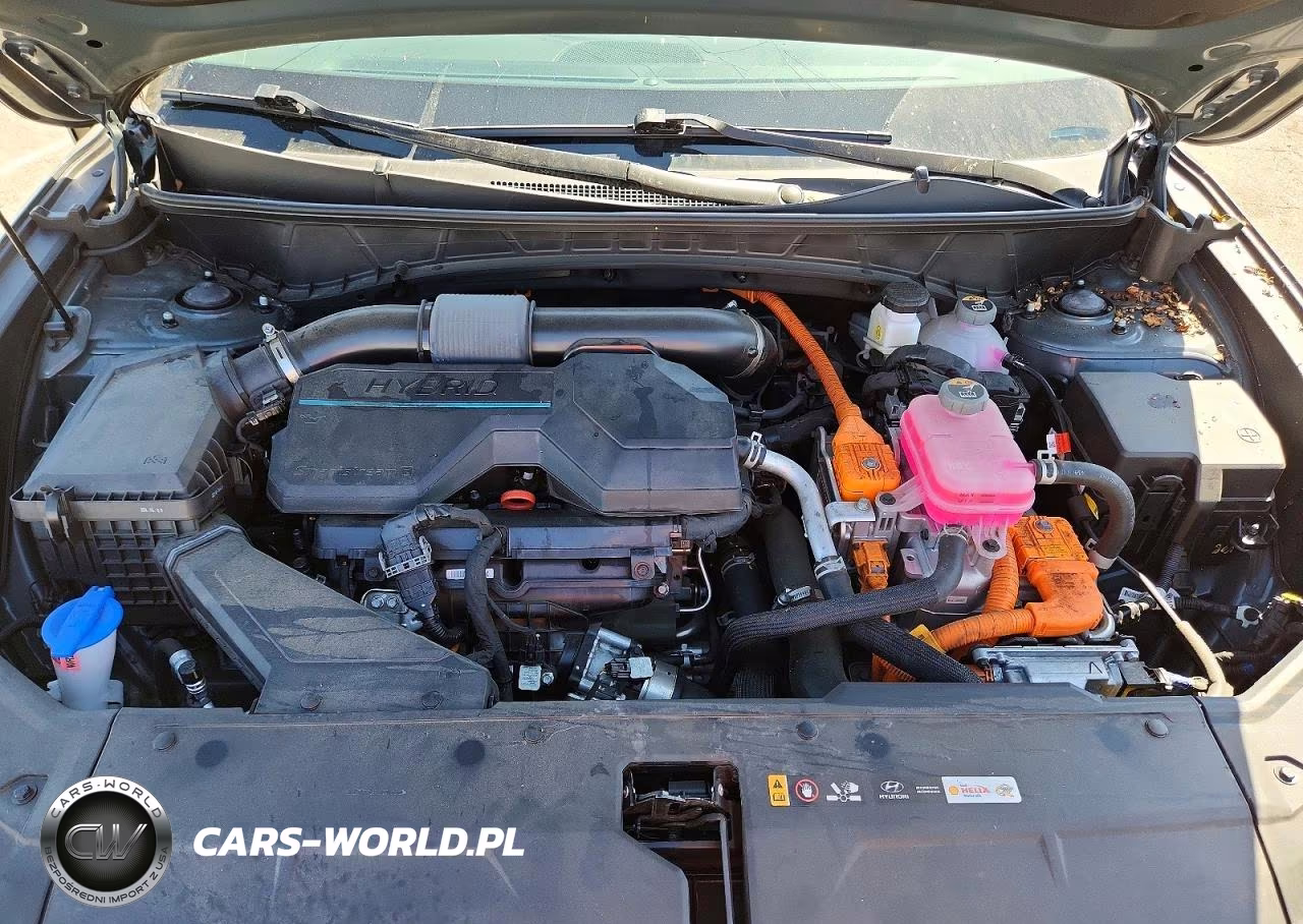 2024 Hyundai Tucson Limited VIN:KM8JECD18RU227870 - 12