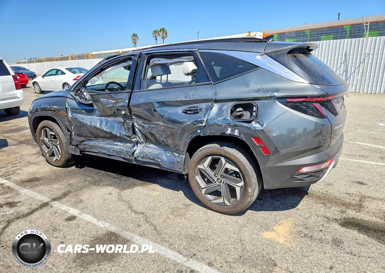 2024 Hyundai Tucson Limited VIN:KM8JECD18RU227870 - 2