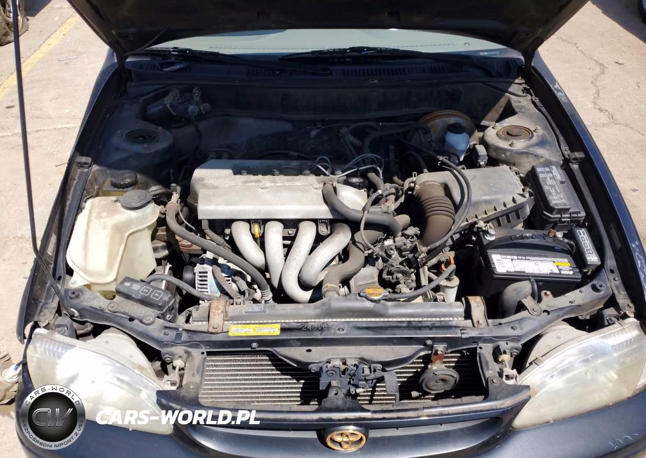 1998 Toyota Corolla Ve VIN:2T1BR12E2WC017832 - 11