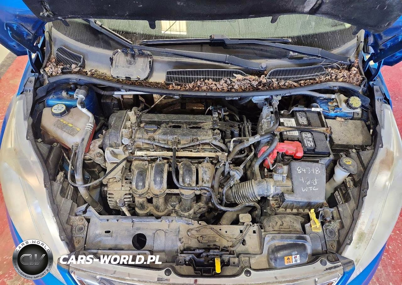 2012 Ford Fiesta Se VIN:3FADP4BJ9CM195971 - 11