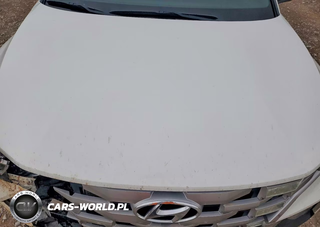 2024 Hyundai Santa Cruz Se VIN:5NTJA4AE3RH088319 - 11