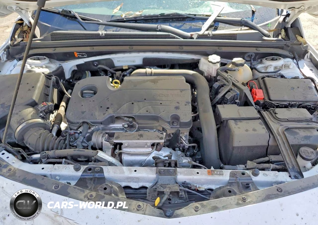 2023 Chevrolet Malibu Ls VIN:1G1ZC5ST7PF171623 - 11
