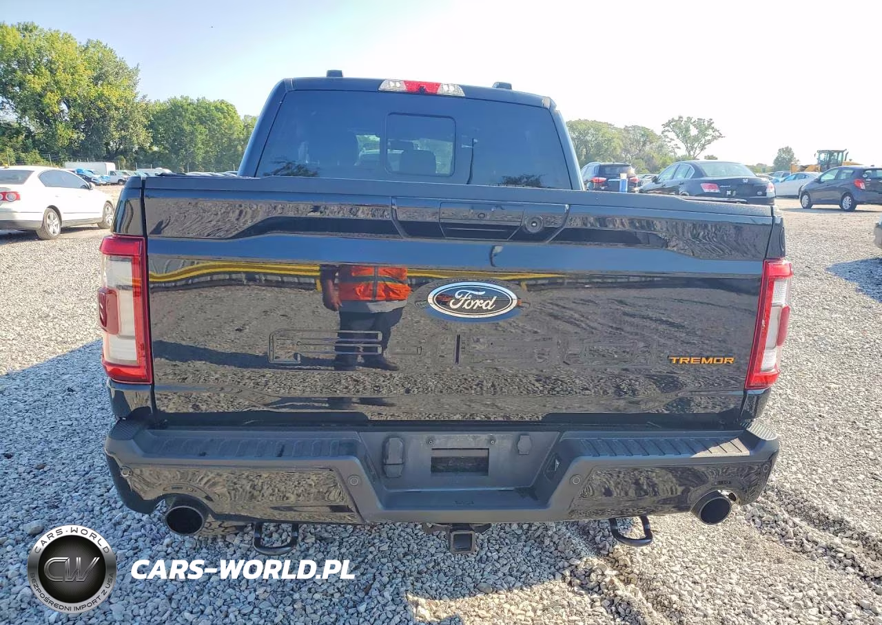 2022 Ford F150 Supercrew VIN:1FTEW1E87NFC16280 - 6