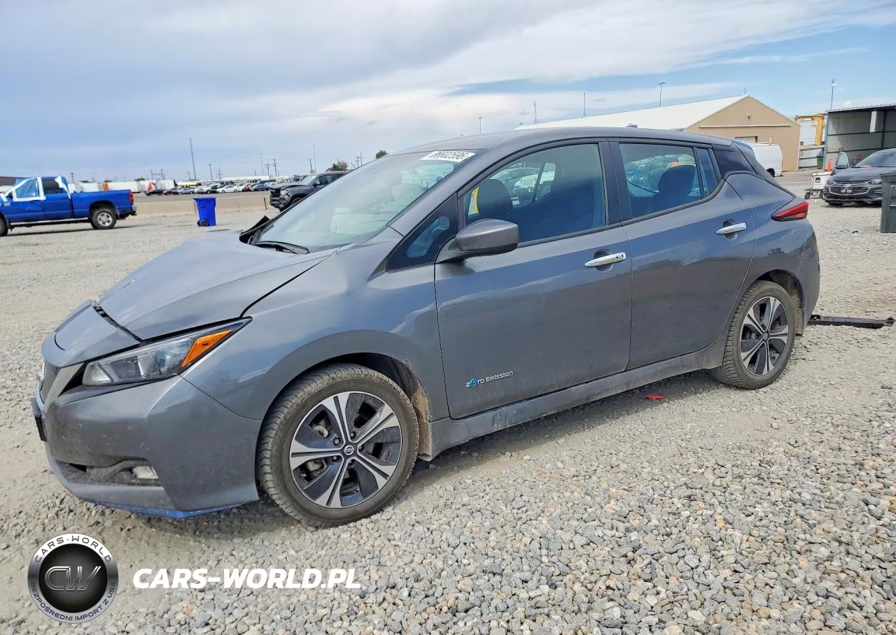 2019 Nissan Leaf Sv Plus