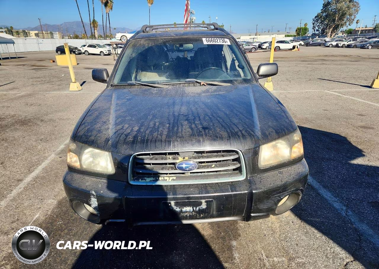 2004 Subaru Forester 2.5Xs VIN:JF1SG65674H700969 - 5