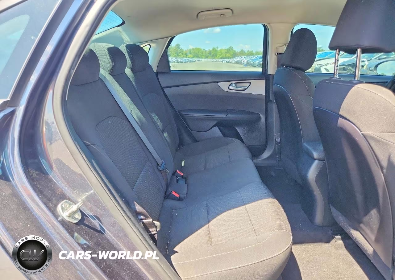 2019 Kia Forte Lxs VIN:3KPF24AD5KE119718 - 10