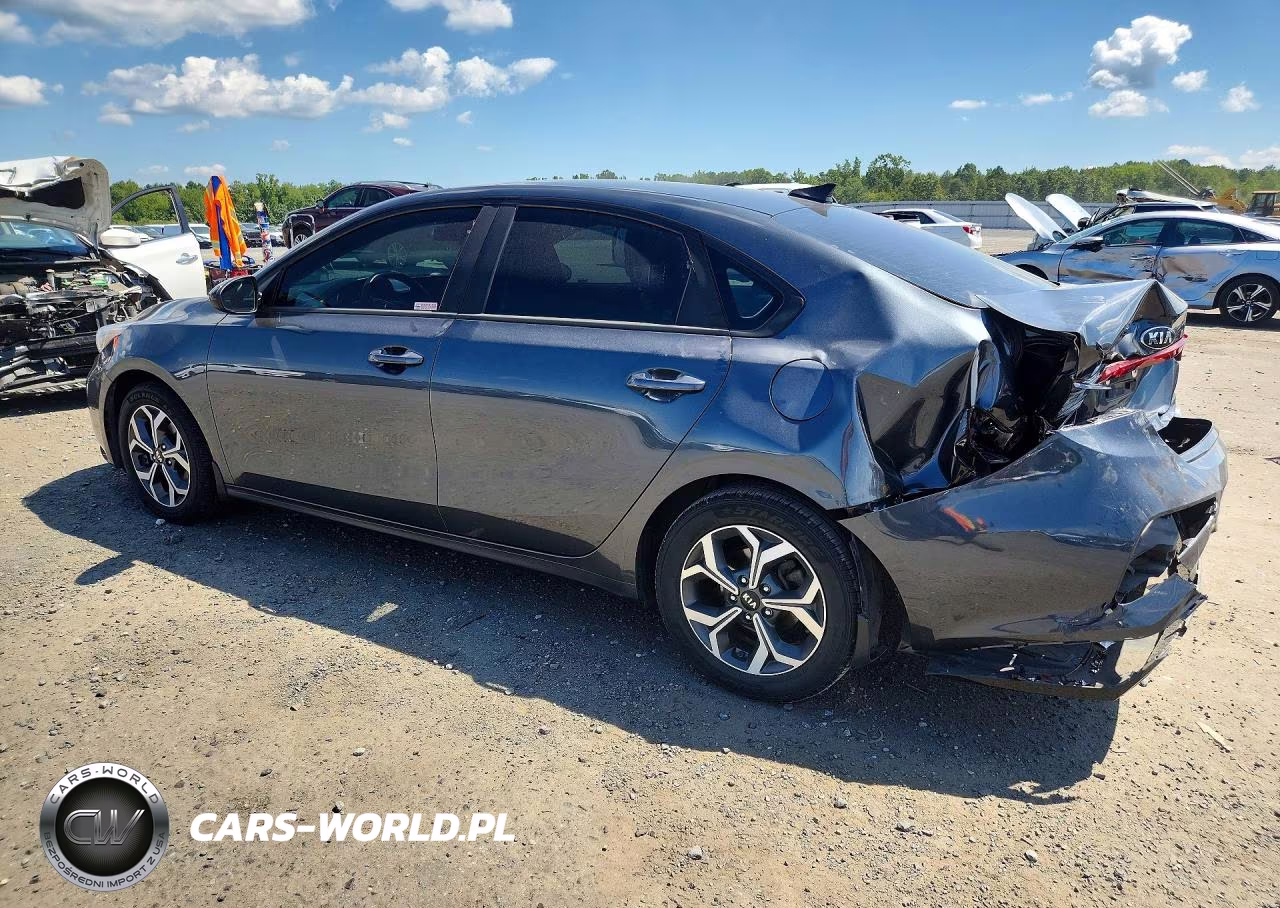 2019 Kia Forte Lxs VIN:3KPF24AD5KE119718 - 2