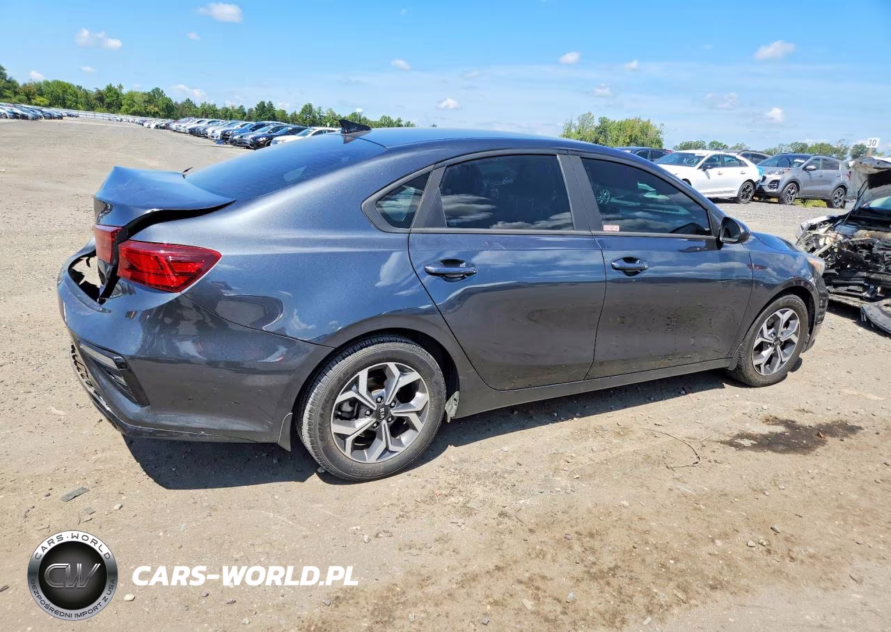 2019 Kia Forte Lxs VIN:3KPF24AD5KE119718 - 3
