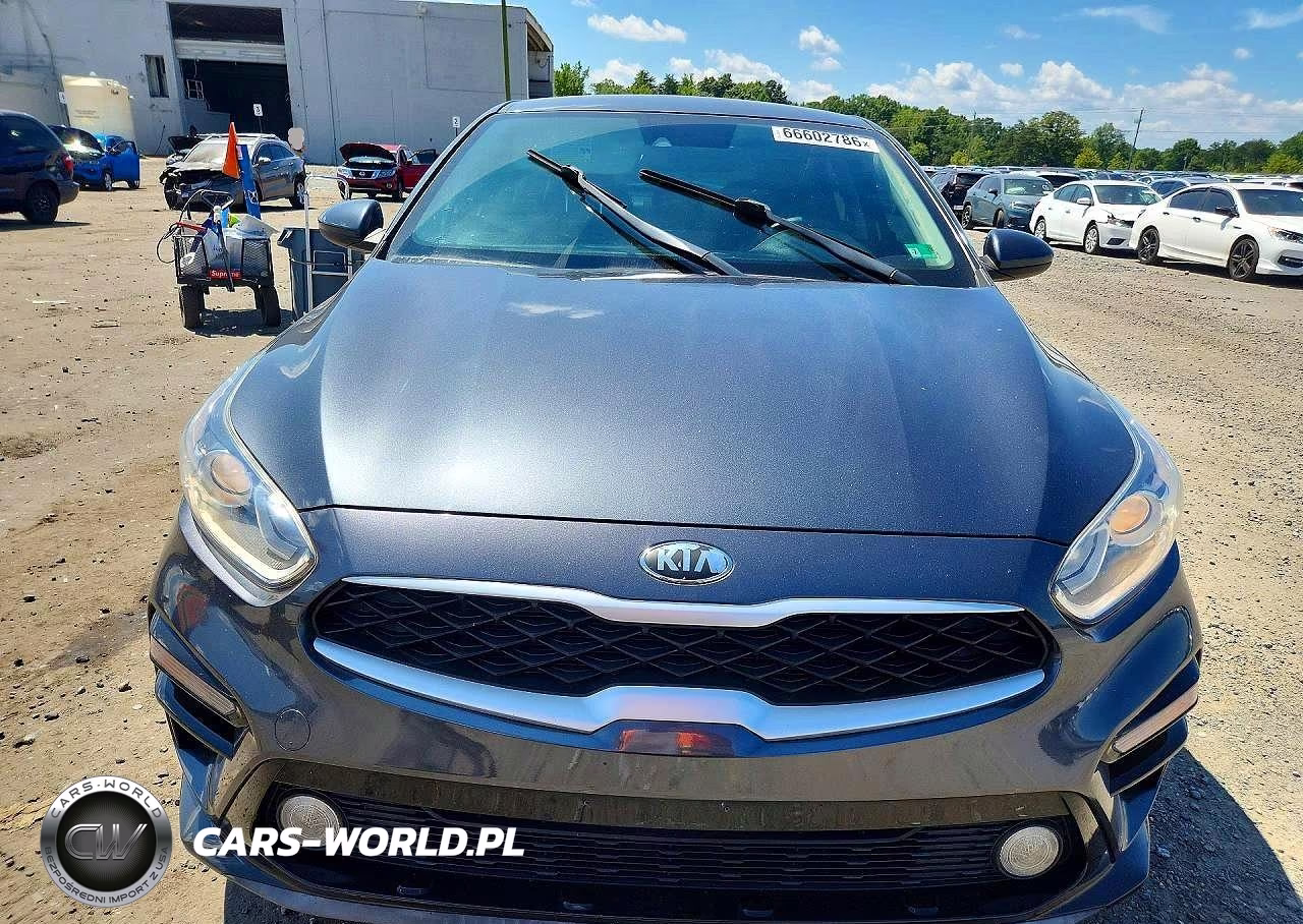 2019 Kia Forte Lxs VIN:3KPF24AD5KE119718 - 5