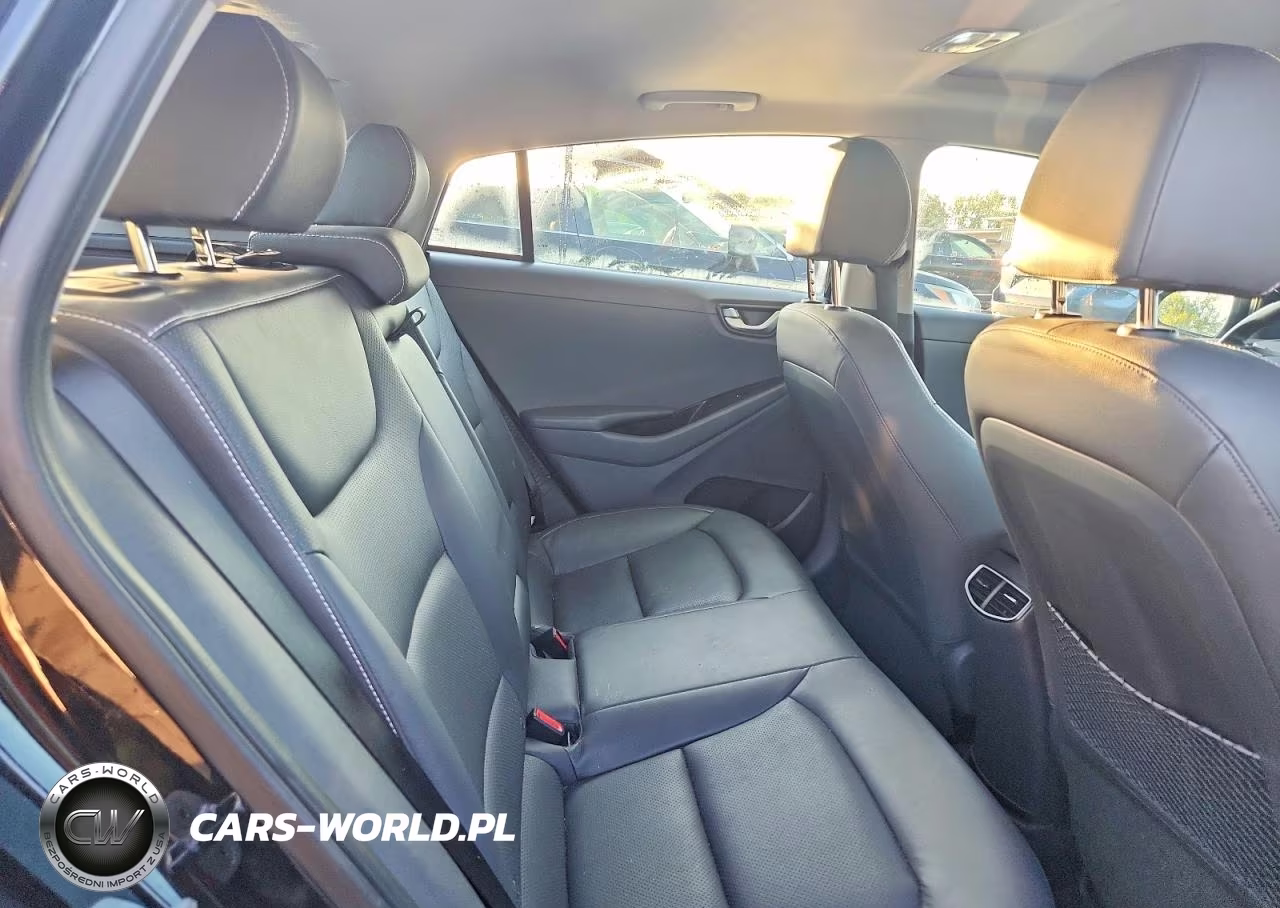 2019 Hyundai Ioniq Limited VIN:KMHC75LD8KU174202 - 10