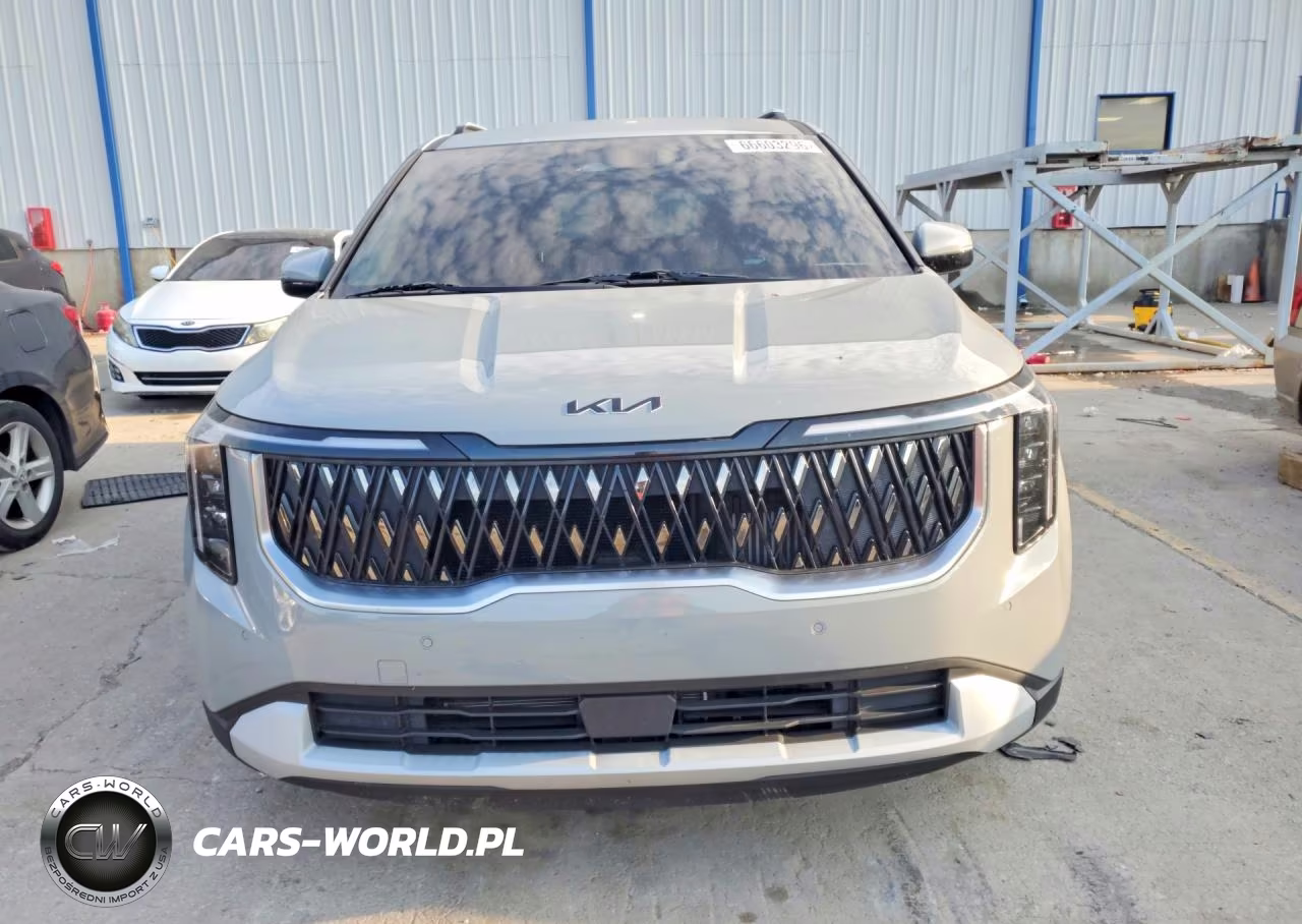 2025 Kia Carnival Ex VIN:KNDNC5KA1S6077881 - 5