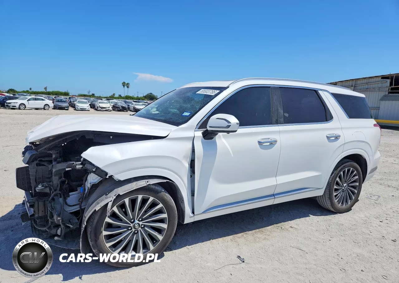 2024 Hyundai Palisade Calligraphy VIN:KM8R74GE9RU744970 - 1