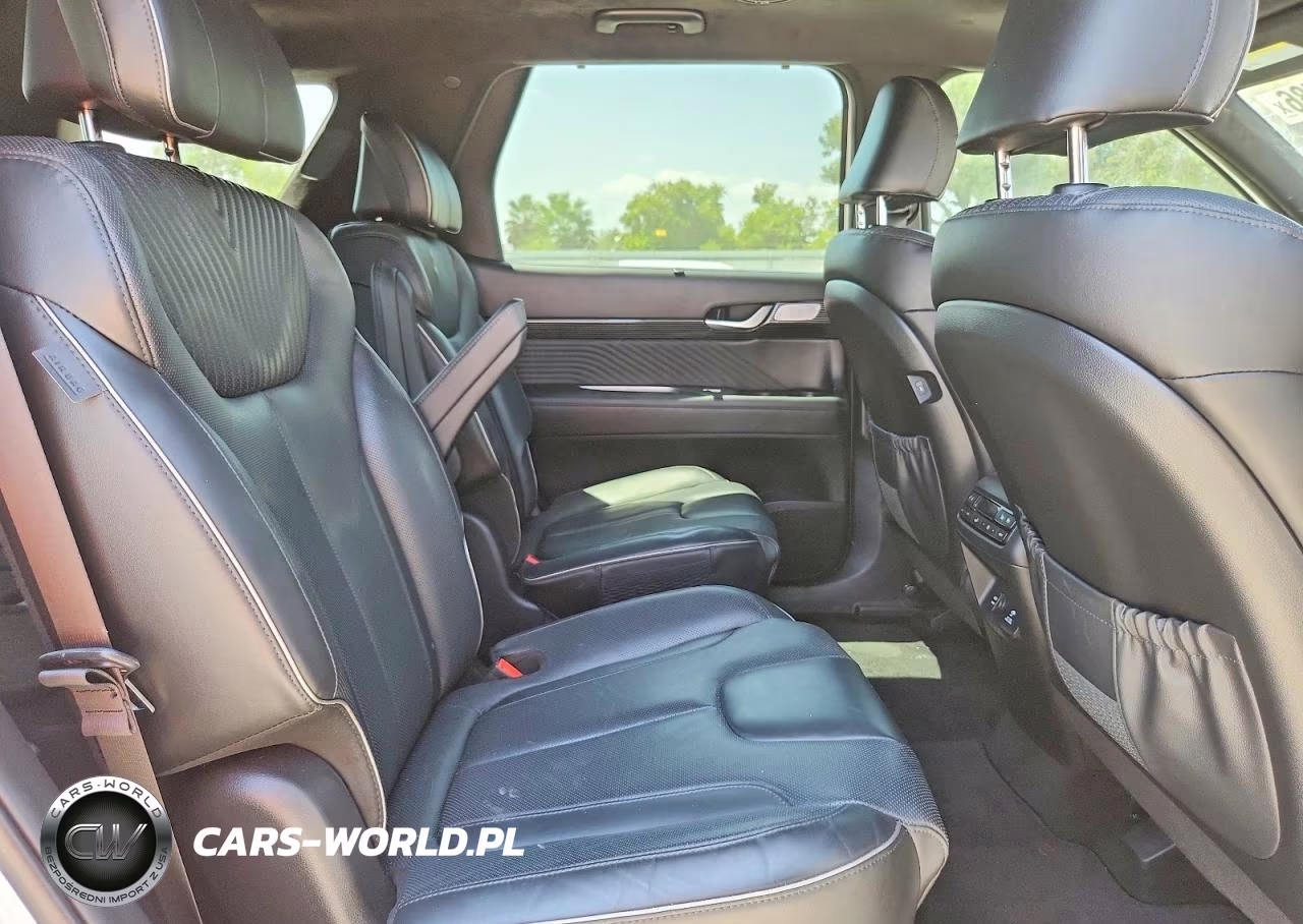 2024 Hyundai Palisade Calligraphy VIN:KM8R74GE9RU744970 - 10
