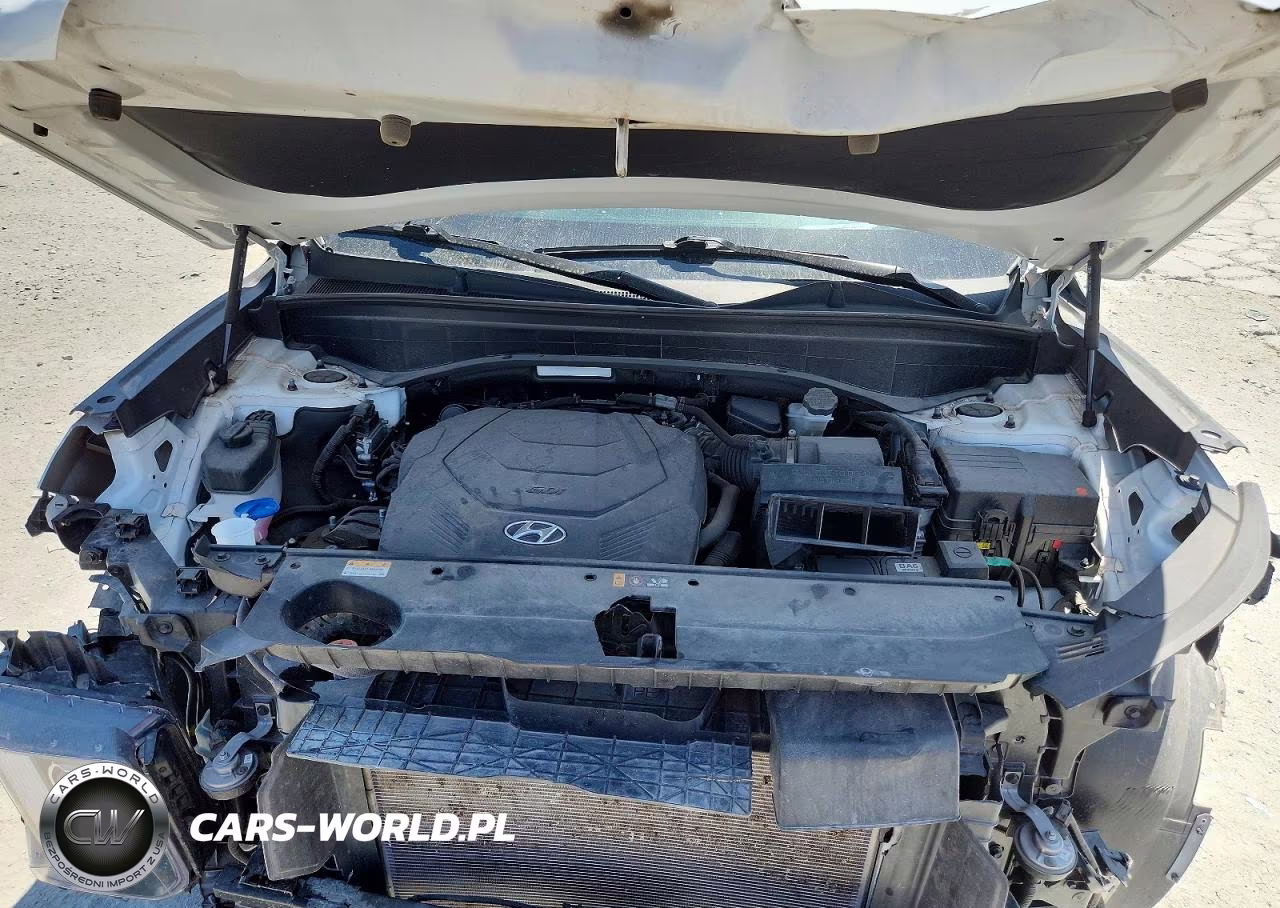 2024 Hyundai Palisade Calligraphy VIN:KM8R74GE9RU744970 - 11