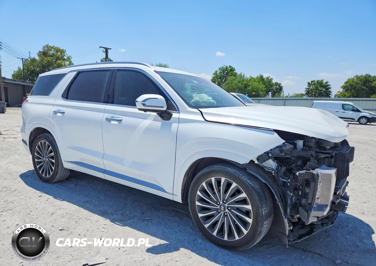 2024 Hyundai Palisade Calligraphy VIN:KM8R74GE9RU744970 - 4