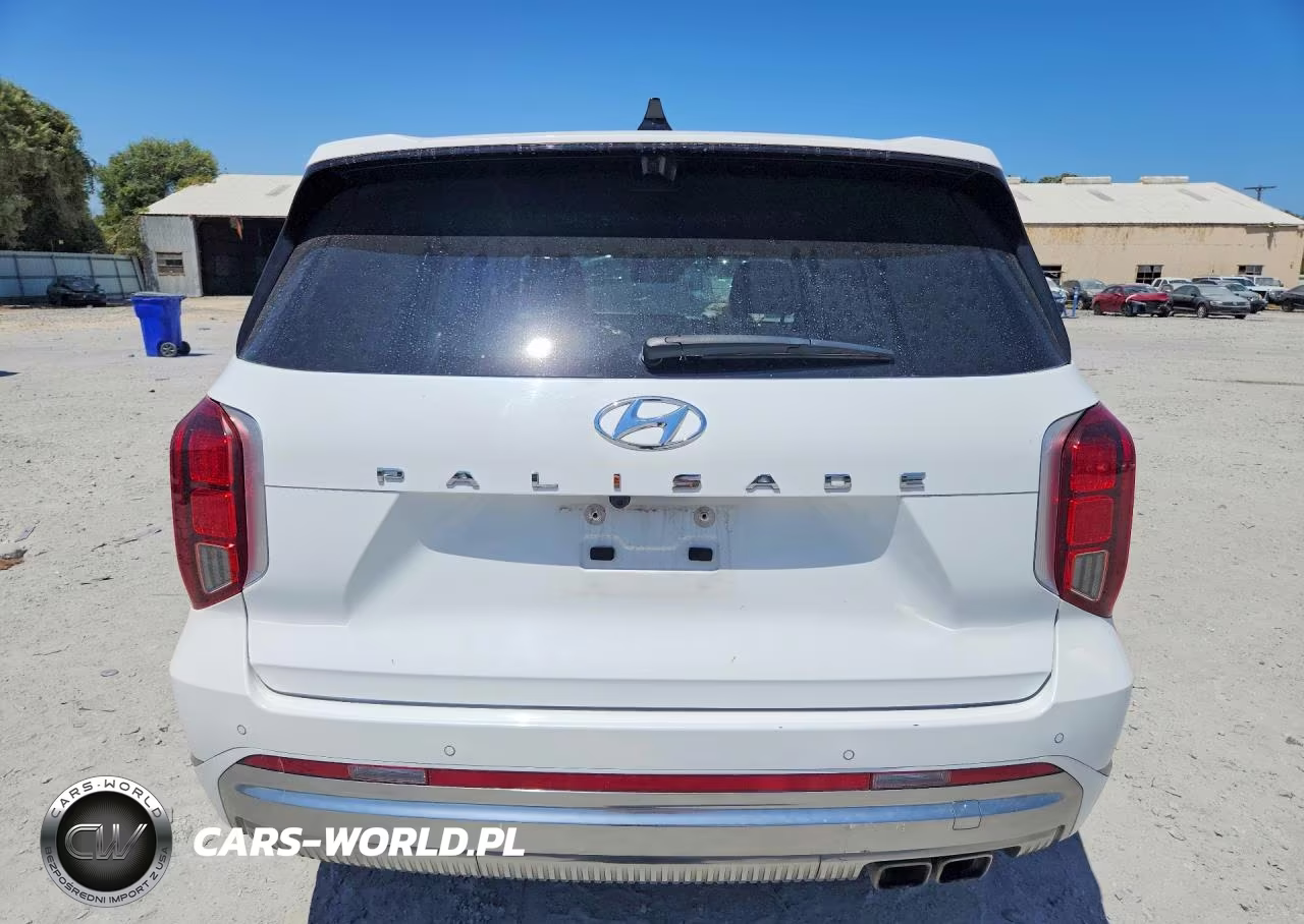 2024 Hyundai Palisade Calligraphy VIN:KM8R74GE9RU744970 - 6