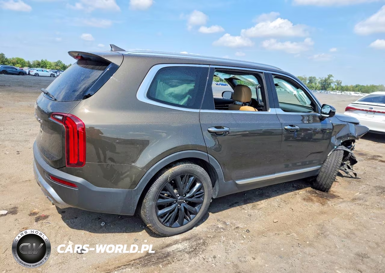 2022 Kia Telluride Sx VIN:5XYP54HC5NG278920 - 3