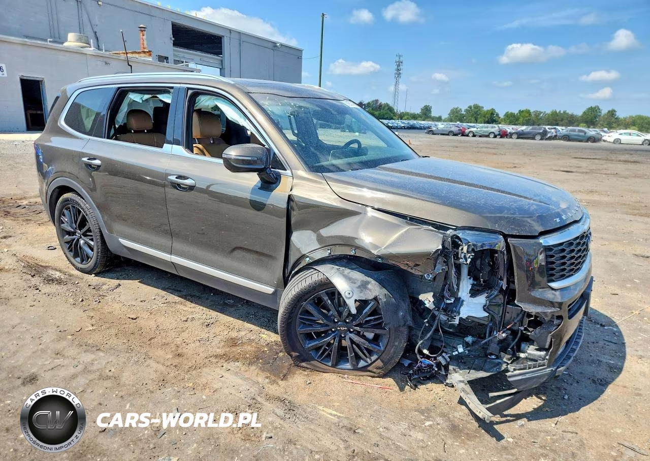 2022 Kia Telluride Sx VIN:5XYP54HC5NG278920 - 4