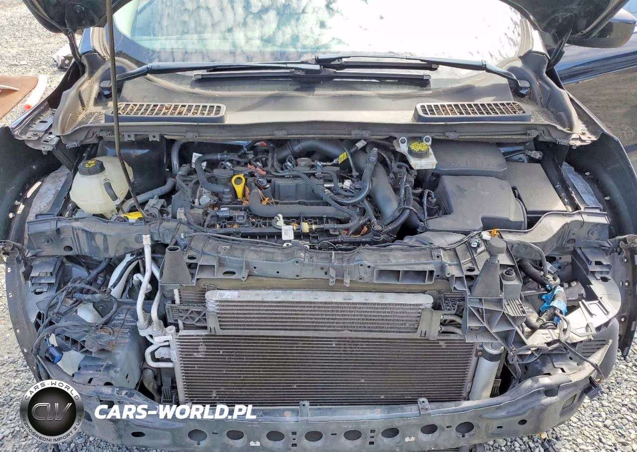 2019 Ford Escape Se VIN:1FMCU9GD4KUB93050 - 12