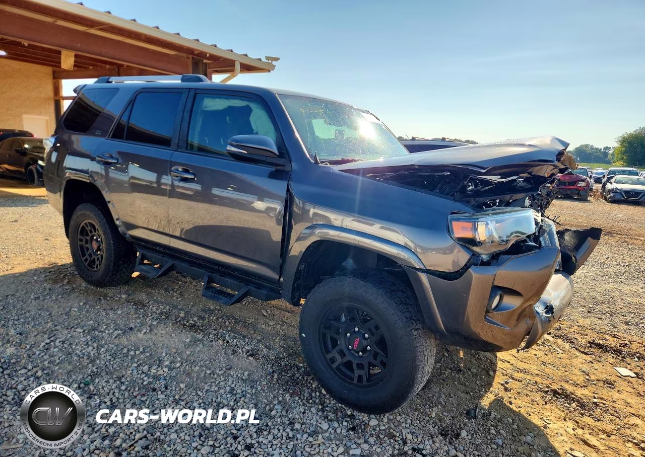 2019 Toyota 4Runner Sr5 Premium VIN:JTEZU5JR9K5204951 - 4