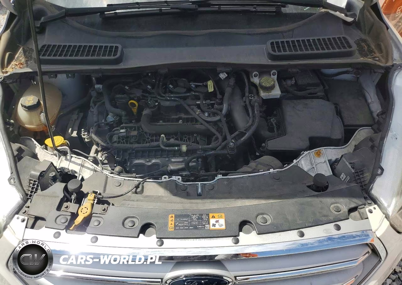 2019 Ford Escape Sel VIN:1FMCU0HD1KUA80277 - 12
