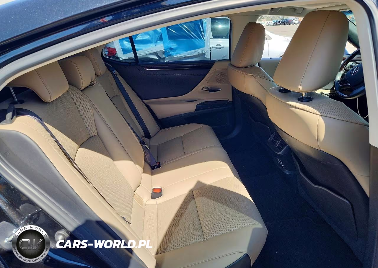 2020 Lexus Es 300H VIN:58AD21B12LU009677 - 10