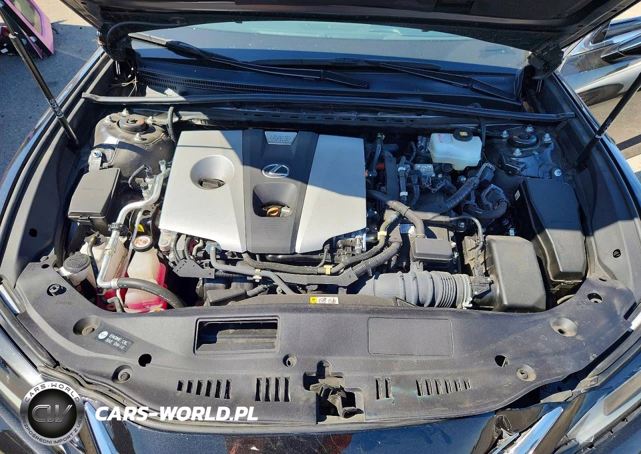 2020 Lexus Es 300H VIN:58AD21B12LU009677 - 11