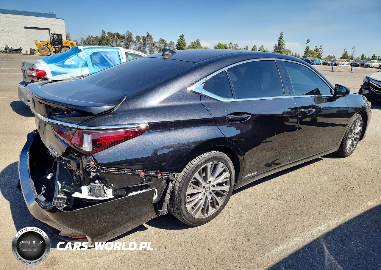 2020 Lexus Es 300H VIN:58AD21B12LU009677 - 3