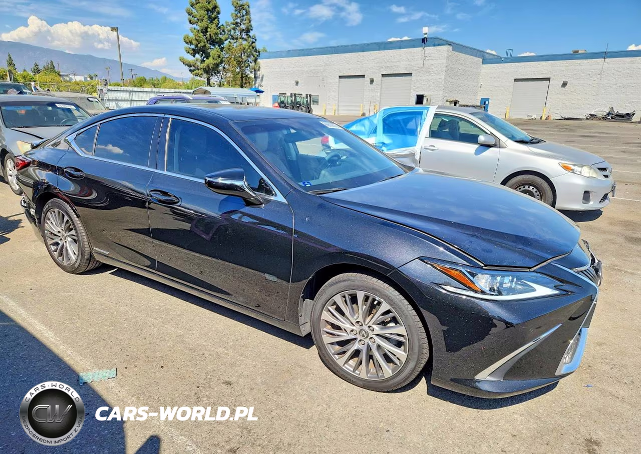 2020 Lexus Es 300H VIN:58AD21B12LU009677 - 4
