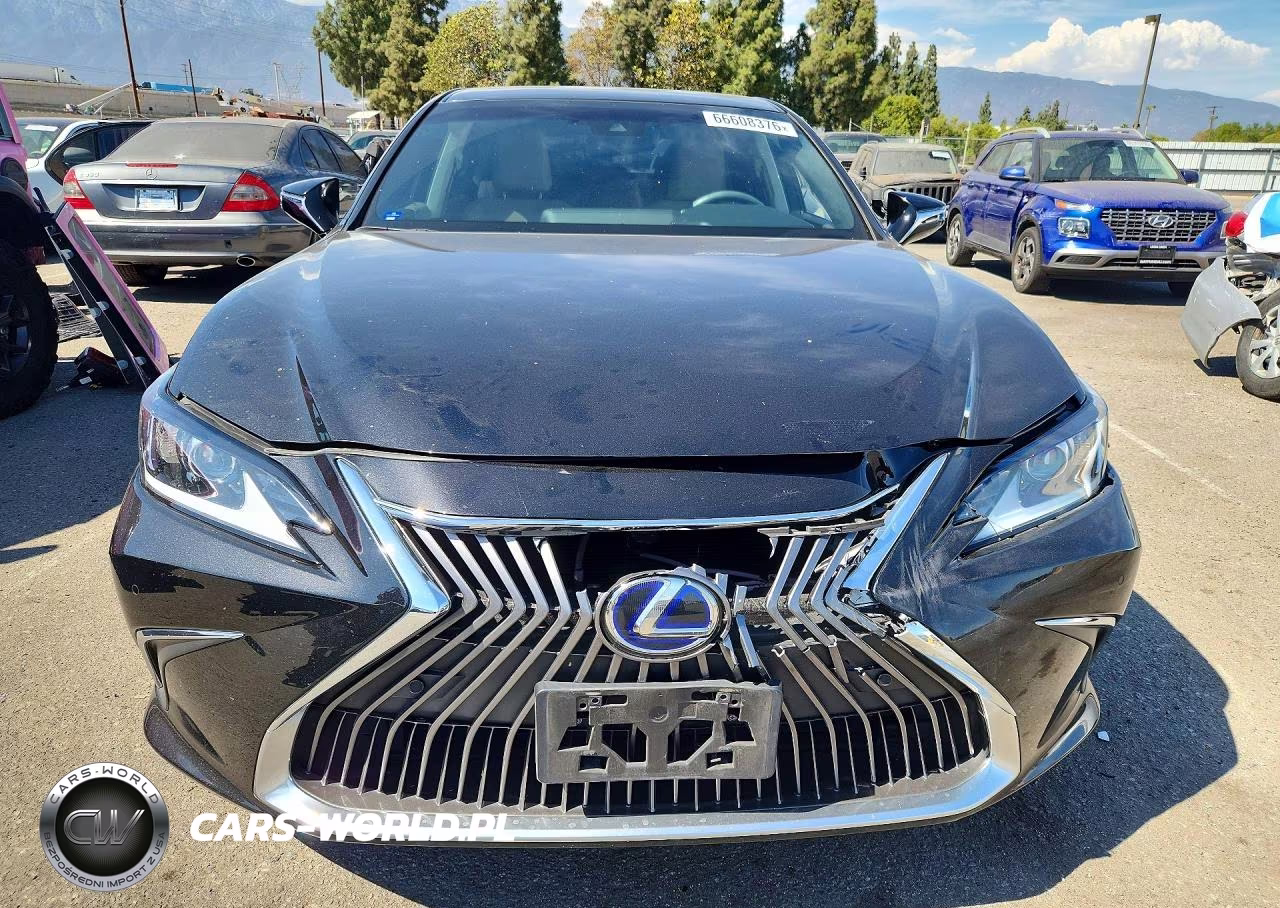 2020 Lexus Es 300H VIN:58AD21B12LU009677 - 5