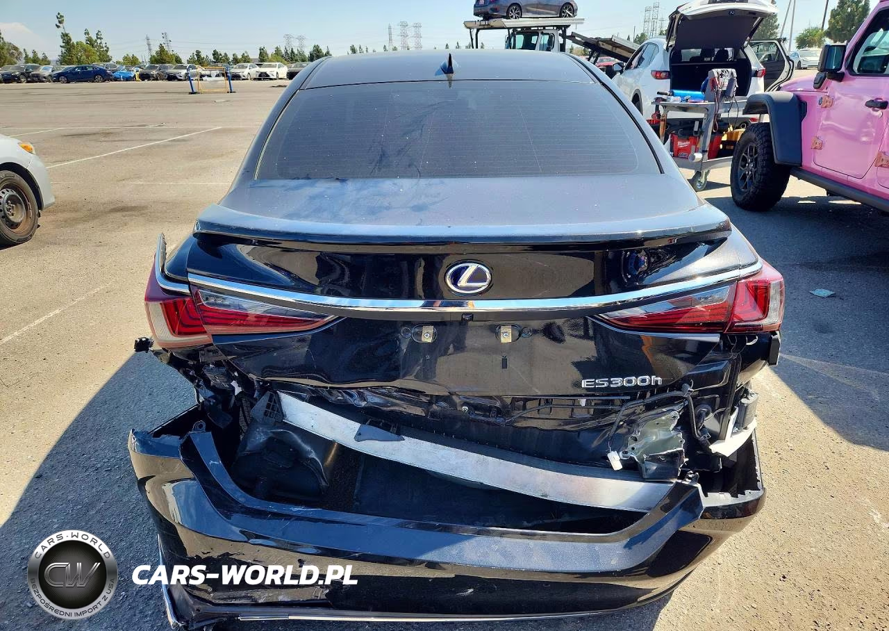 2020 Lexus Es 300H VIN:58AD21B12LU009677 - 6