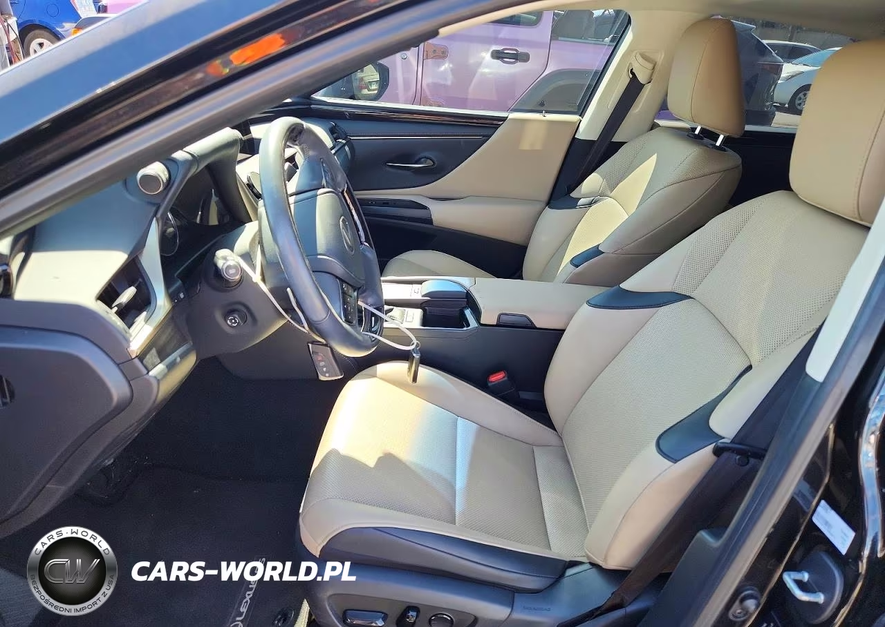 2020 Lexus Es 300H VIN:58AD21B12LU009677 - 7