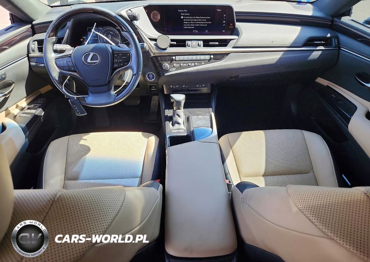 2020 Lexus Es 300H VIN:58AD21B12LU009677 - 8