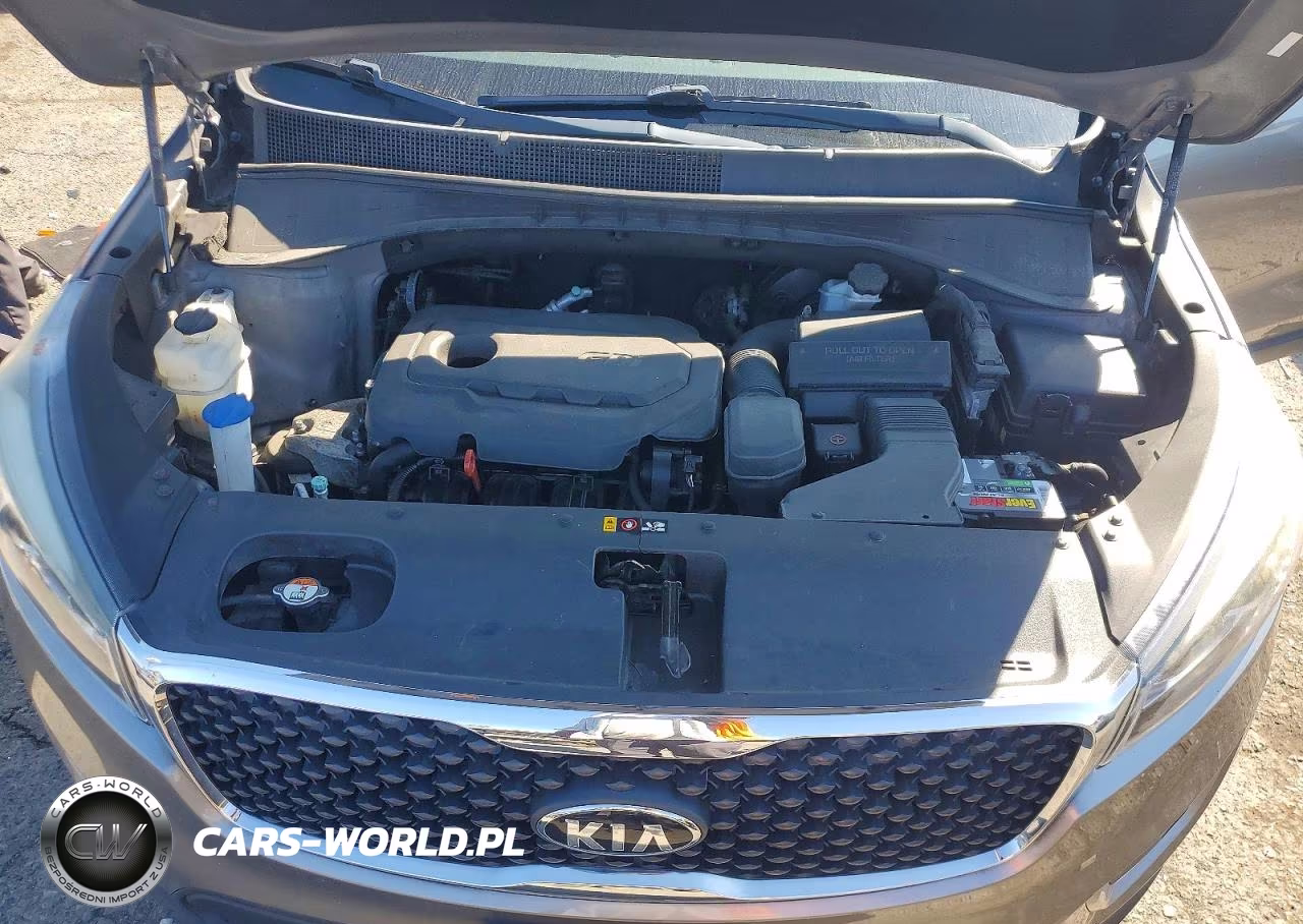 2018 Kia Sorento Lx VIN:5XYPGDA36JG376207 - 12