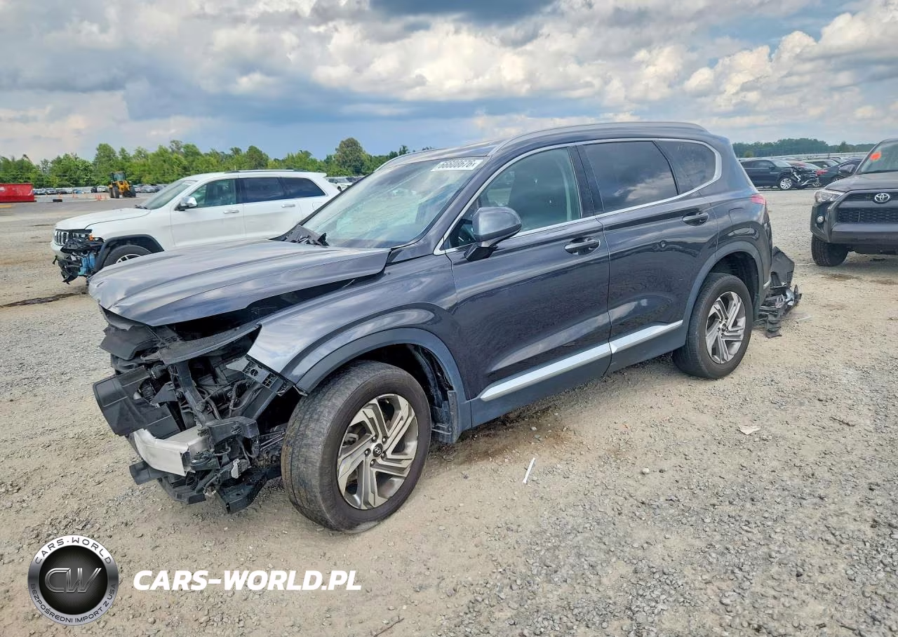 2022 Hyundai Santa Fe Sel VIN:5NMS2DAJ7NH448003 - 1