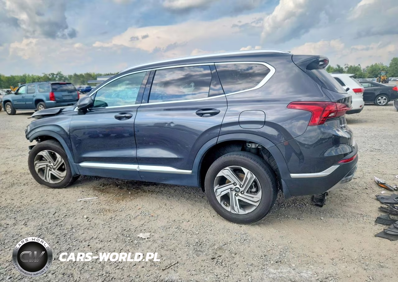 2022 Hyundai Santa Fe Sel VIN:5NMS2DAJ7NH448003 - 2