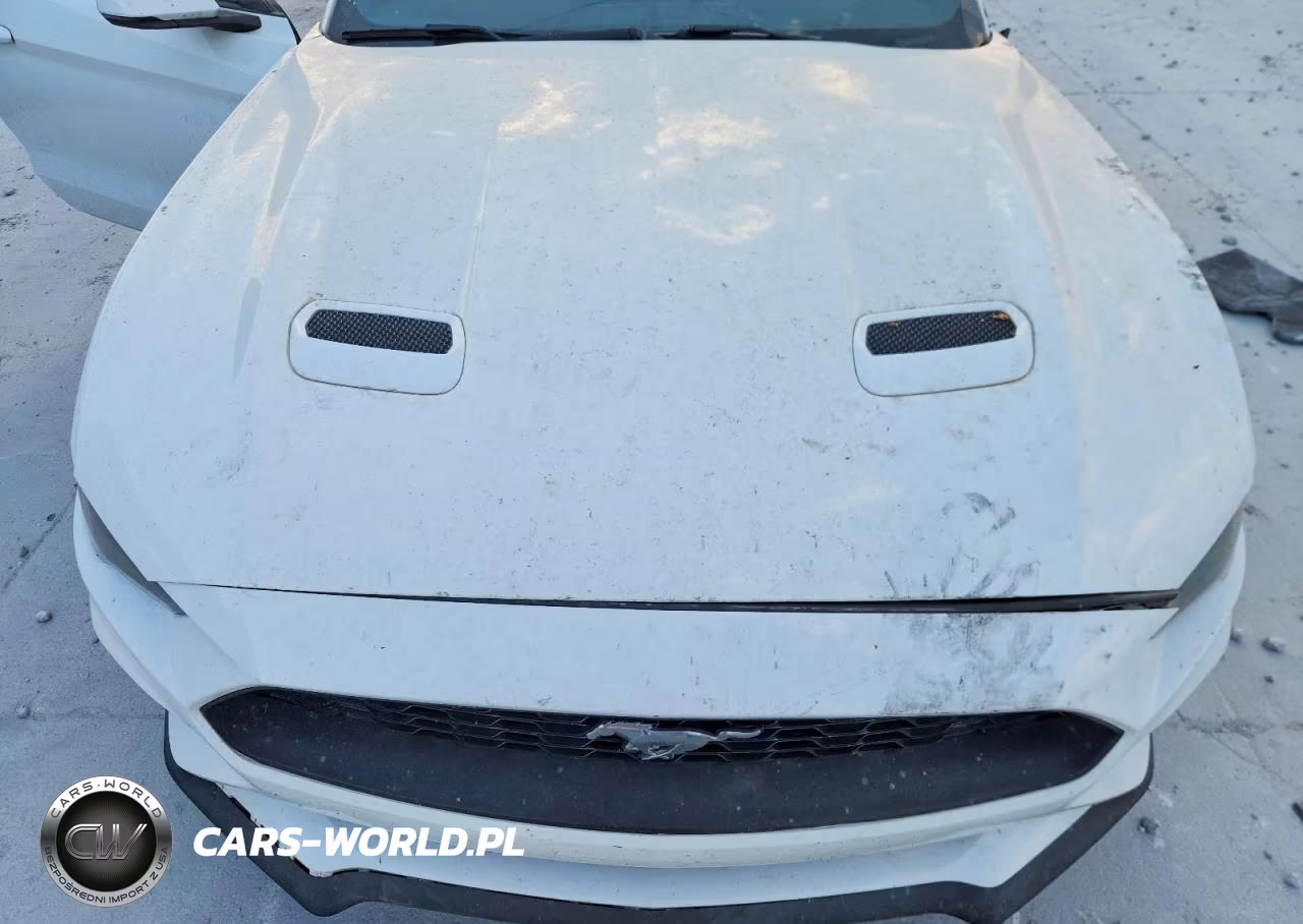 2020 Ford Mustang VIN:1FA6P8TH4L5112206 - 11