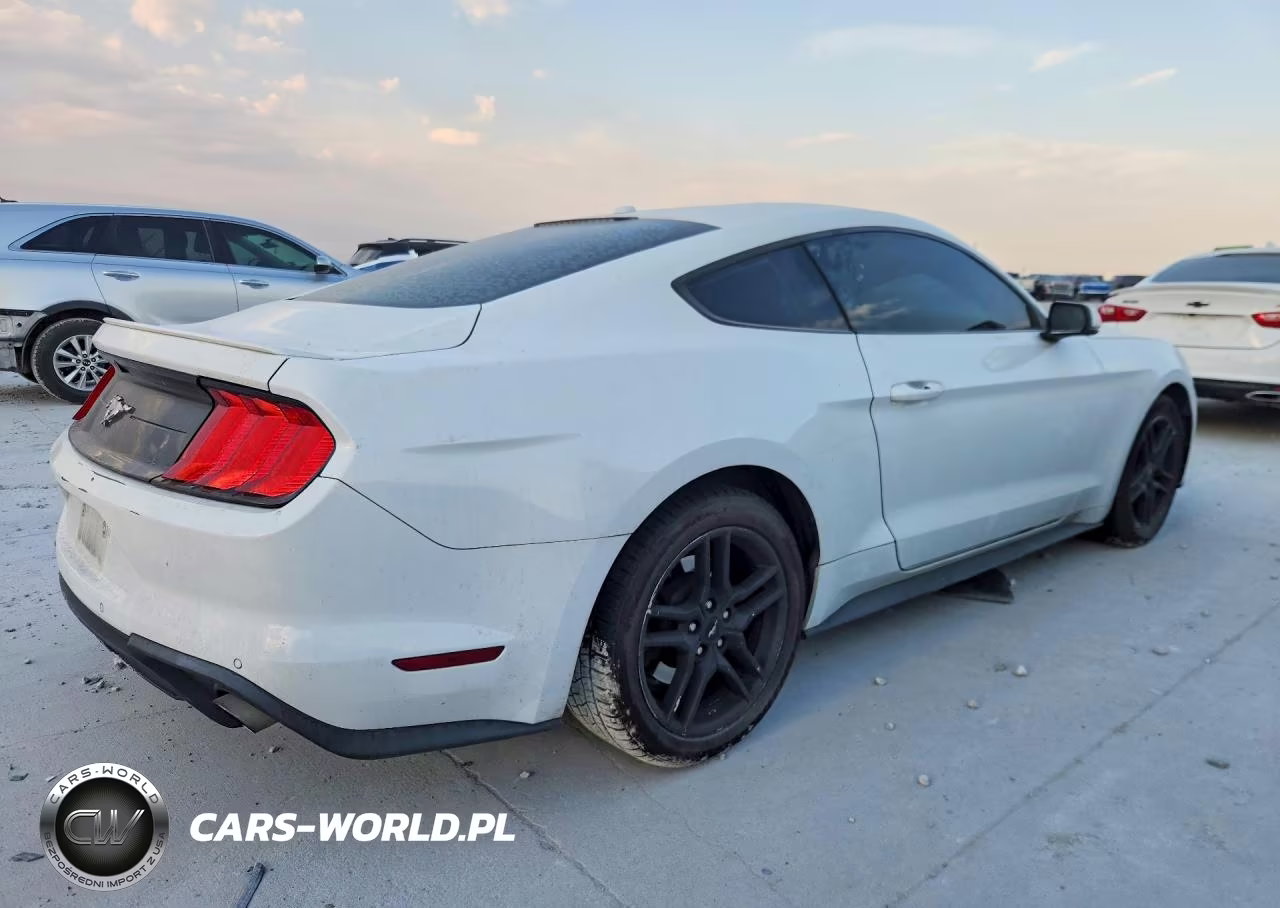 2020 Ford Mustang VIN:1FA6P8TH4L5112206 - 3