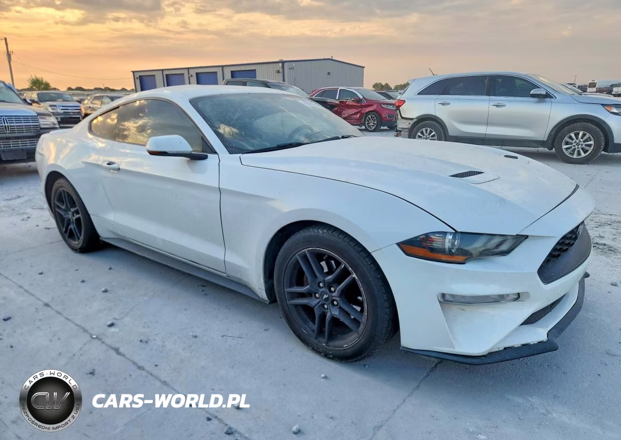 2020 Ford Mustang VIN:1FA6P8TH4L5112206 - 4