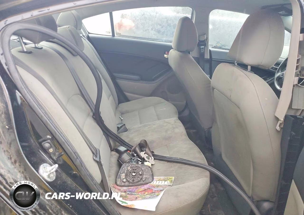 2015 Kia Forte Lx VIN:KNAFK4A67F5378114 - 10