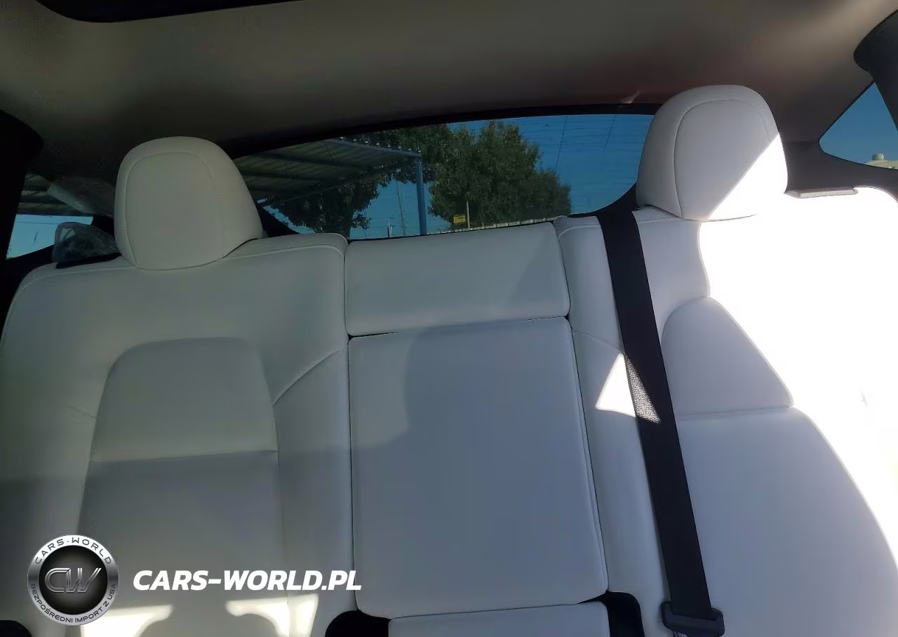 2023 Tesla Model Y VIN:7SAYGDEE9PF806587 - 10