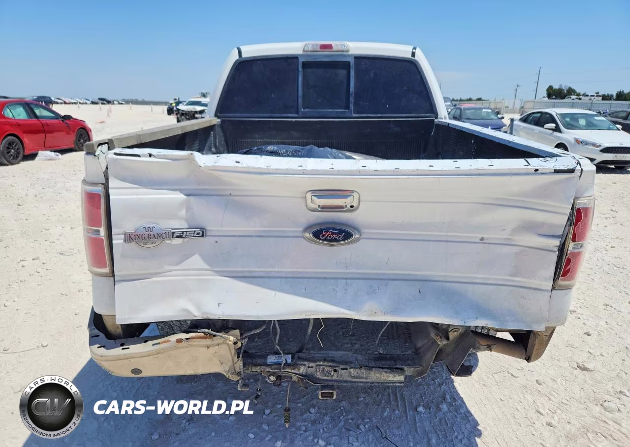 2009 Ford F150 Supercrew VIN:1FTPW14VX9KC91567 - 6
