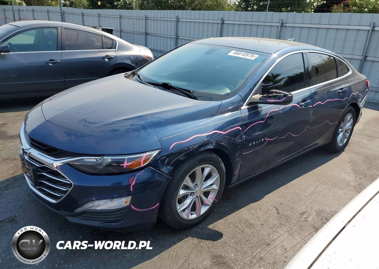 2019 Chevrolet Malibu Lt VIN:1G1ZD5ST9KF149709 - 1