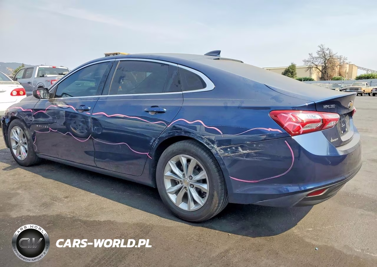 2019 Chevrolet Malibu Lt VIN:1G1ZD5ST9KF149709 - 2