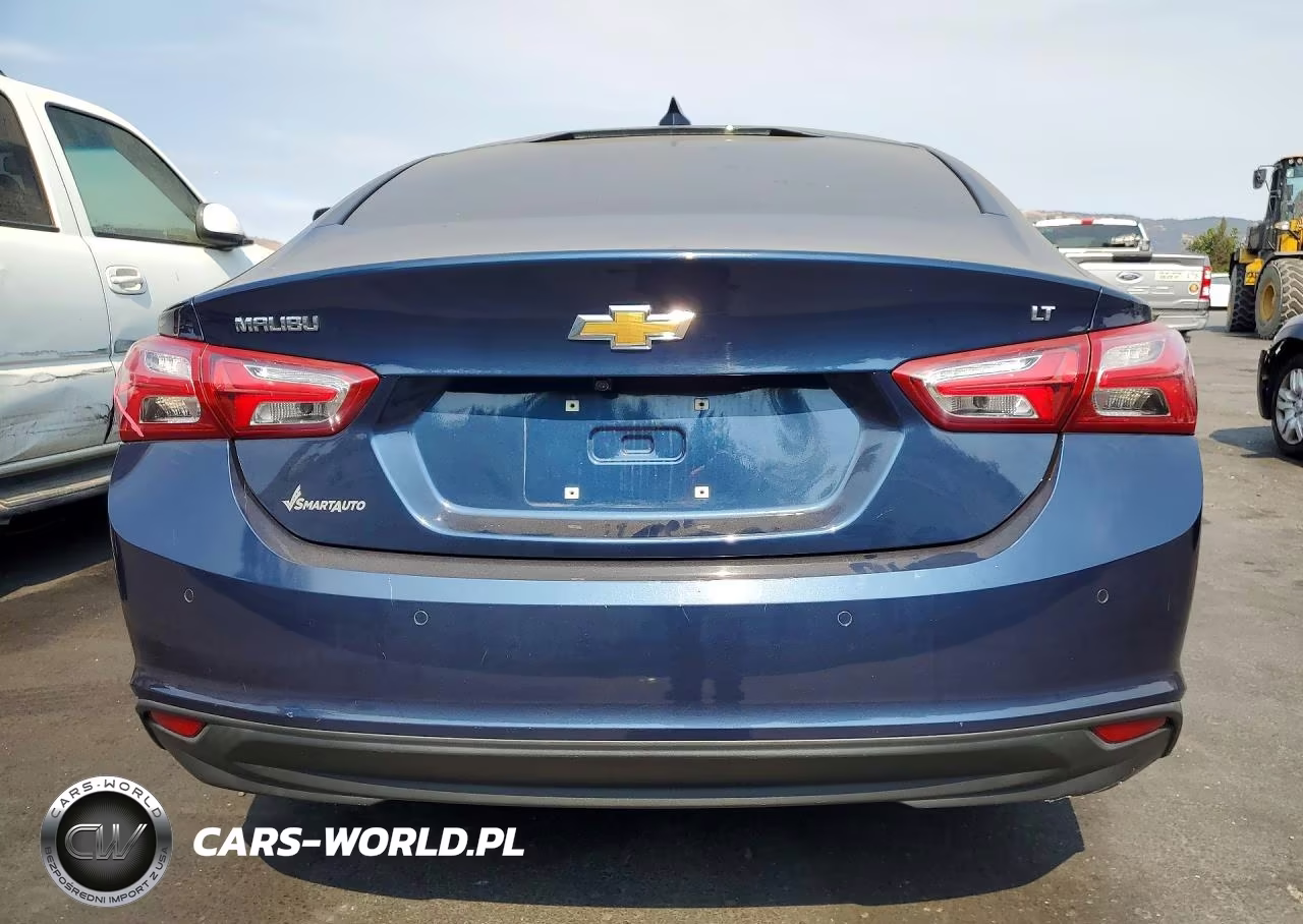 2019 Chevrolet Malibu Lt VIN:1G1ZD5ST9KF149709 - 6