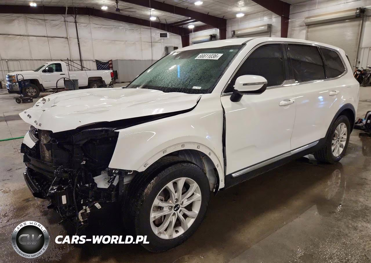 2020 Kia Telluride Lx VIN:5XYP24HC0LG058221 - 1