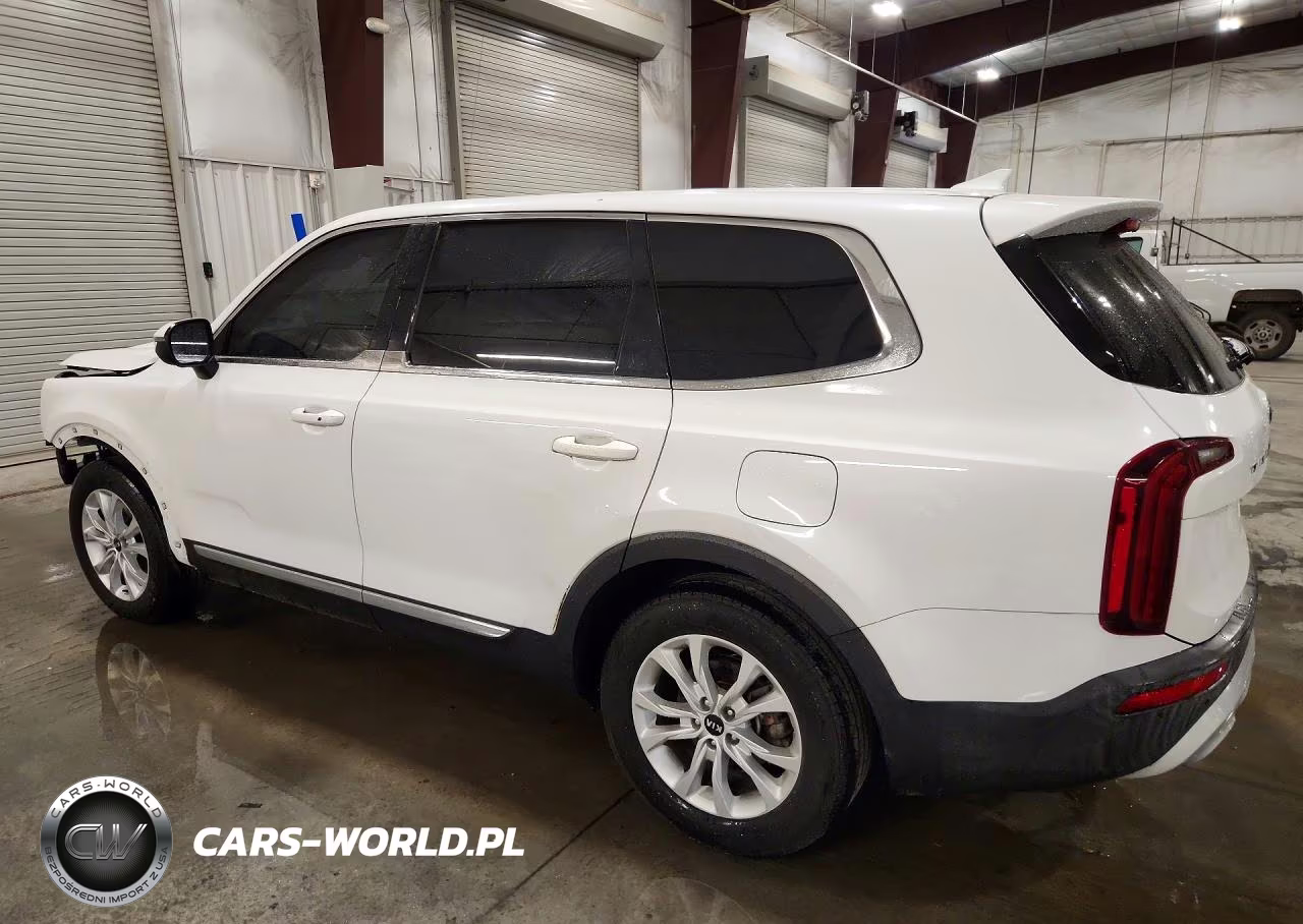 2020 Kia Telluride Lx VIN:5XYP24HC0LG058221 - 2