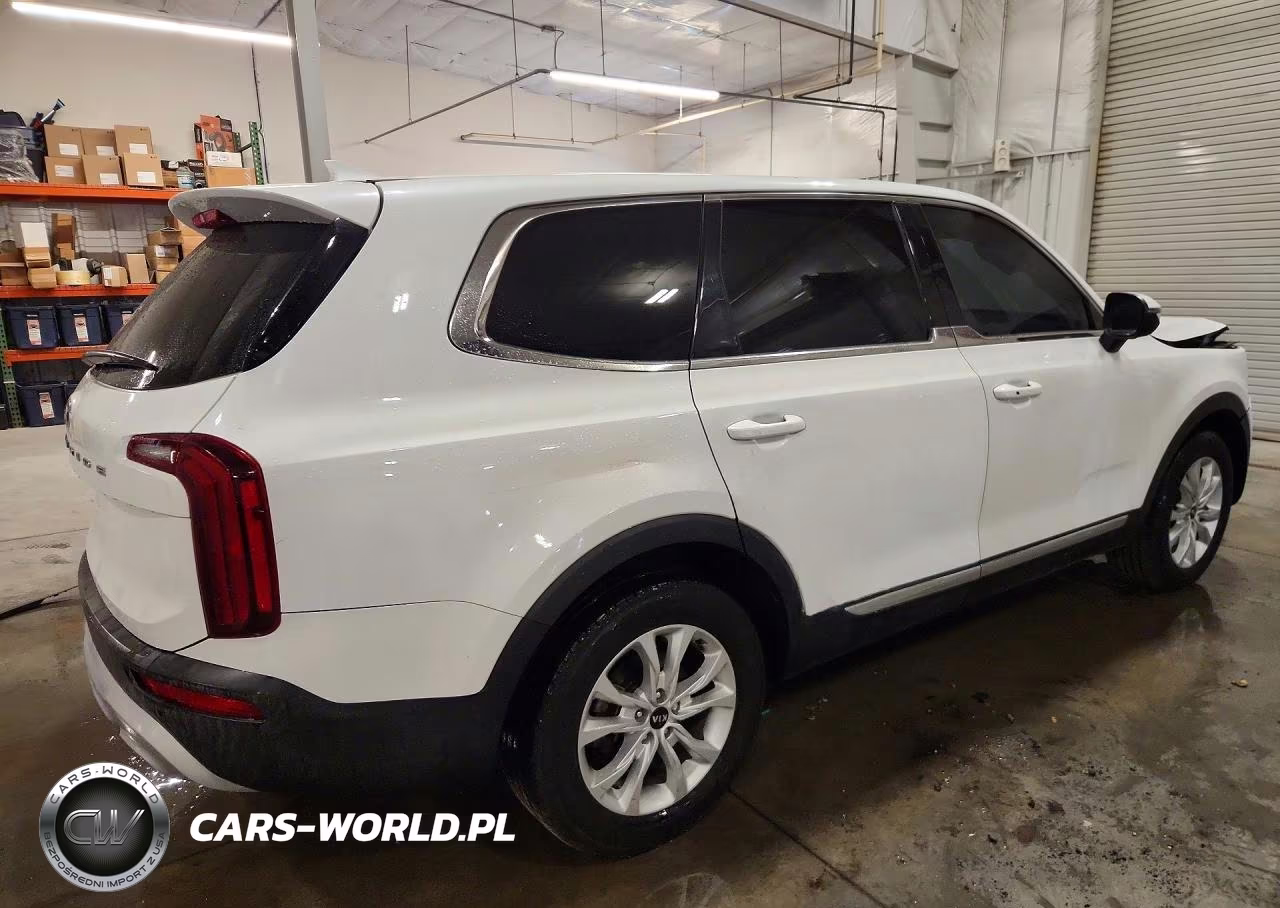 2020 Kia Telluride Lx VIN:5XYP24HC0LG058221 - 3