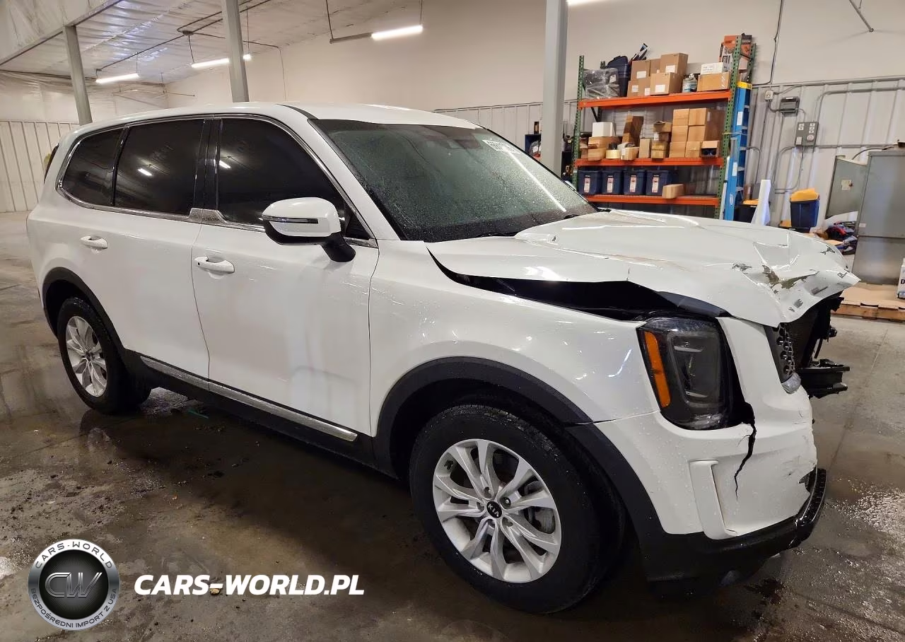 2020 Kia Telluride Lx VIN:5XYP24HC0LG058221 - 4
